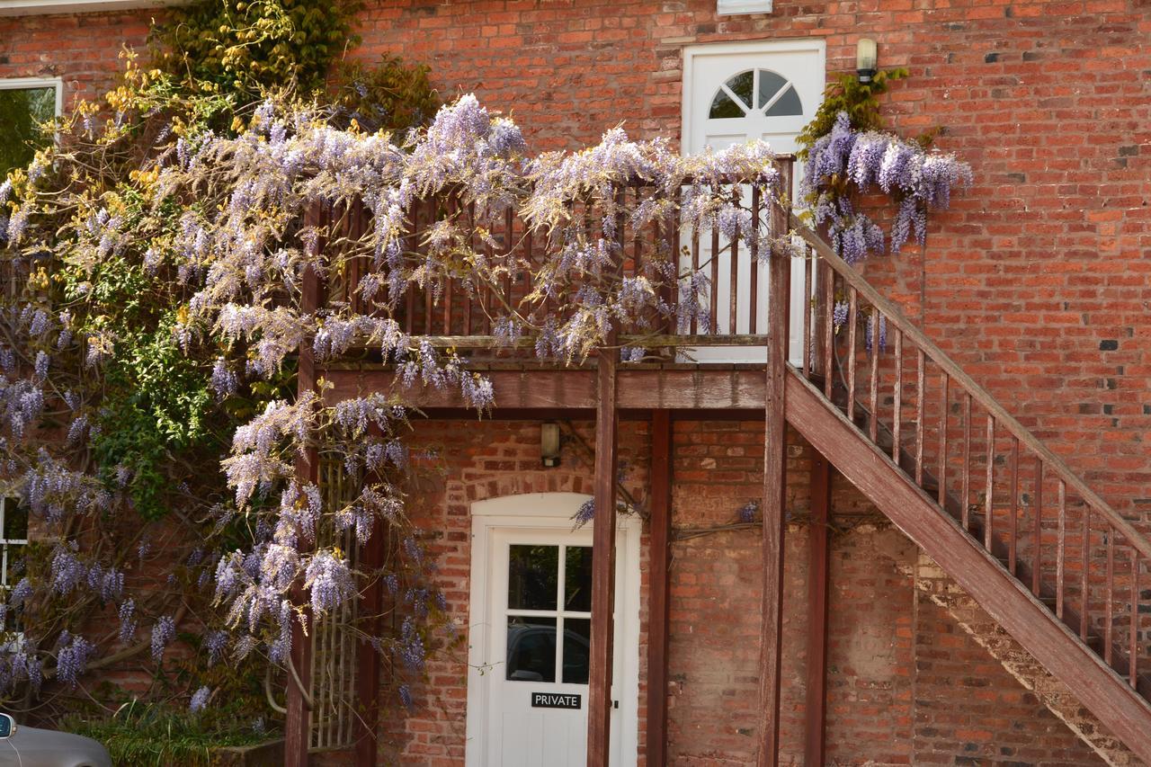 Elm Lodge Bed & Breakfast Ludlow Exterior foto