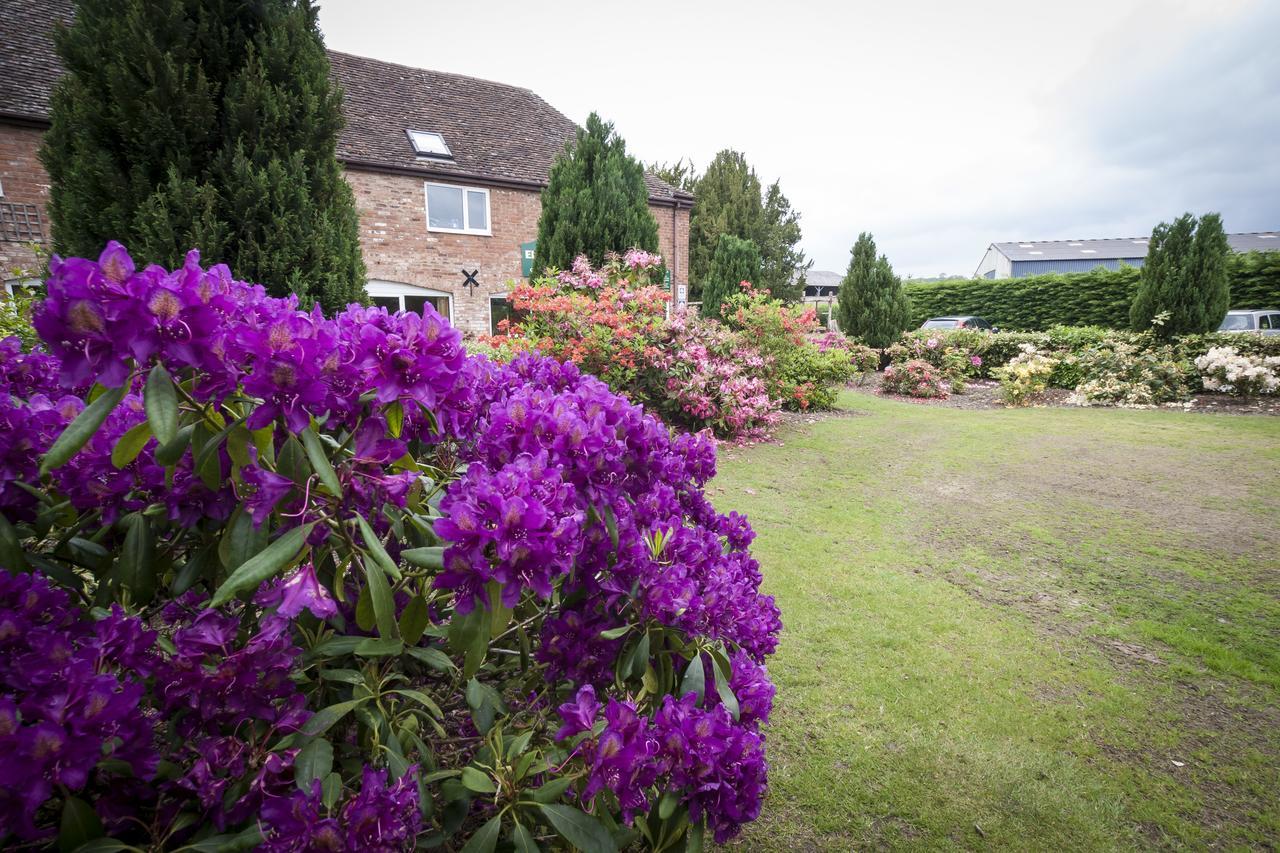 Elm Lodge Bed & Breakfast Ludlow Exterior foto